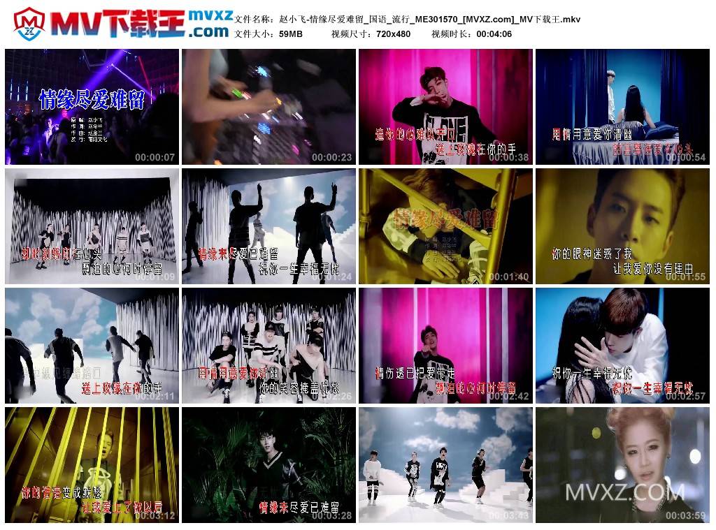 赵小飞-情缘尽爱难留_国语_流行_ME301570